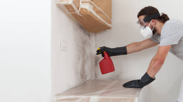 Professional Mold Remediation technician working in South Hamilton, MA